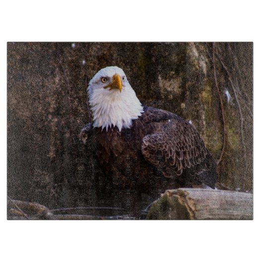 Planche À Découper Aigle de Bald (Devant)