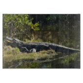 Planche À Découper Alligator dans le soleil (Devant)