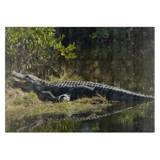 Planche À Découper Alligator dans le soleil (Devant)