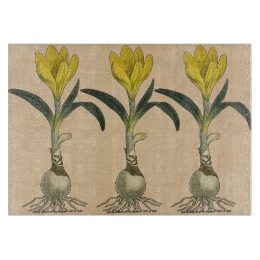 Planche À Découper Amaryllis Tulip Jardin Botanique Fleur (Devant)