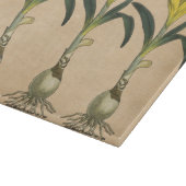 Planche À Découper Amaryllis Tulip Jardin Botanique Fleur (Coin)