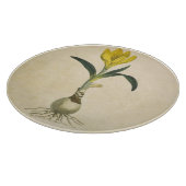 Planche À Découper Amaryllis Tulip Jardin Botanique Fleur (Coin)