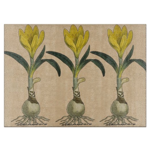 Planche À Découper Amaryllis Tulip Jardin Botanique Fleur (Devant)