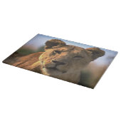 Planche À Découper Amateurs de lions lioness (Coin)