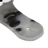 Planche À Découper american-eskimo-dog-2.jpg (Coin)