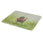 Planche À Découper American Robin Bird Green (Coin)