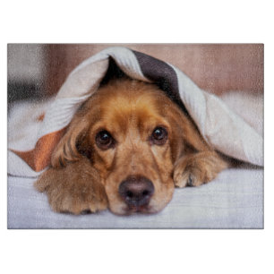 Planche À Découper Anglais Cocker Spaniel Chien