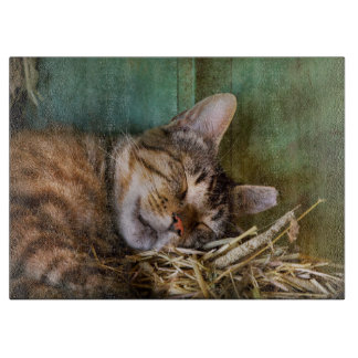 Planche À Découper Animal - Chat - Cat - Cat nap