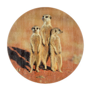 Planche À Découper Animaux de bébés cutest 3 Meerkats