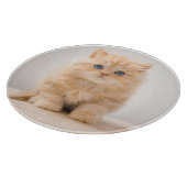 Planche À Découper Animaux de bébés cutest | A British Longhair Kitte (Coin)