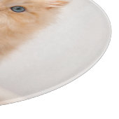 Planche À Découper Animaux de bébés cutest | A British Longhair Kitte (Coin)