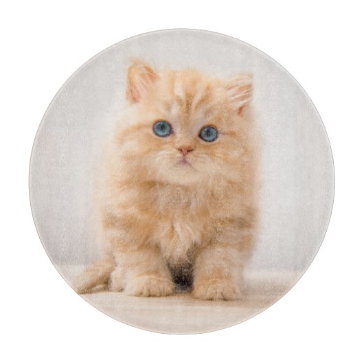 Planche À Découper Animaux de bébés cutest | A British Longhair Kitte (Devant)