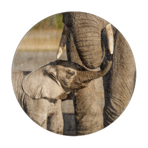 Planche À Découper Animaux de bébés cutest   Baby Elephant & Mama