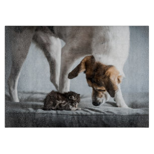 Planche À Découper Animaux de bébés cutest   Baby Kitten & Dog