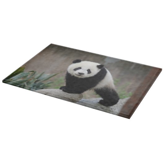 Planche À Découper Animaux de bébés cutest | Baby Panda géant (Coin)