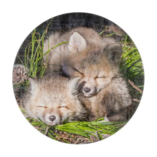 Planche À Découper Animaux de bébés cutest | Baby Red Fox Kits Sleepi (Devant)
