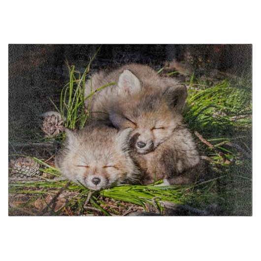 Planche À Découper Animaux de bébés cutest | Baby Red Fox Kits Sleepi (Devant)