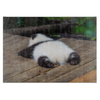 Animaux de bébés cutest | Bébé Géant Panda Dormir