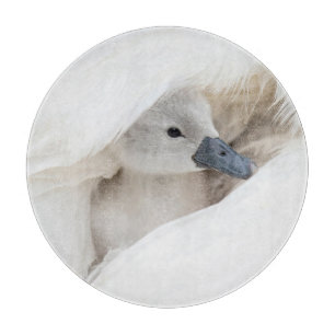 Planche À Découper Animaux de bébés cutest   Bébé Mute Swan