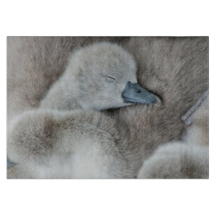 Planche À Découper Animaux de bébés cutest   Bébé Mute Swan