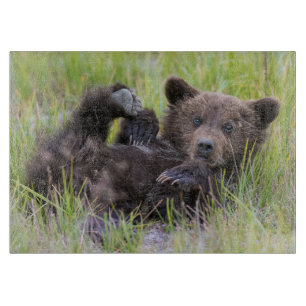 Planche À Découper Animaux de bébés cutest   Bébé Ours Brown