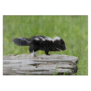 Planche À Découper Animaux de bébés cutest Bébé Skunk