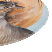 Planche À Découper Animaux de bébés cutest | Black Foy avec maman (Coin)