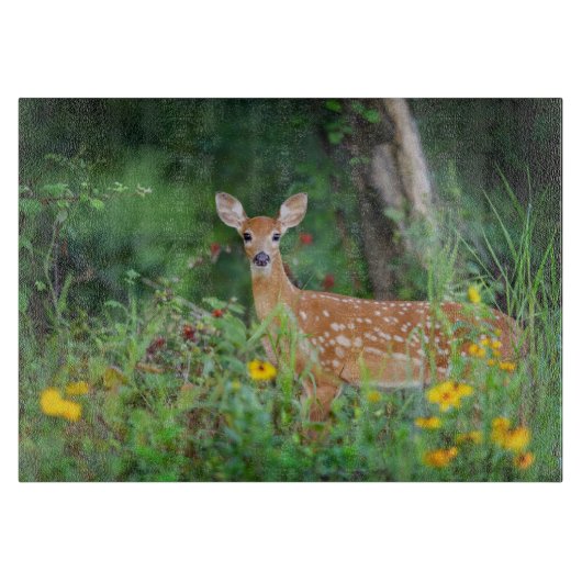 Planche À Découper Animaux de bébés cutest | Cerf à queue blanche dan (Devant)