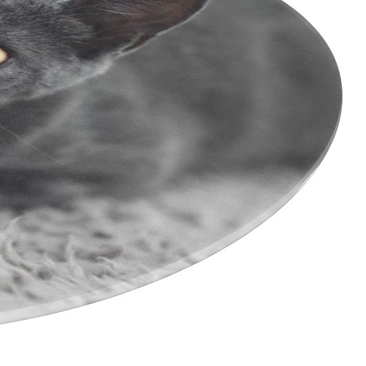 Planche À Découper Animaux de bébés cutest | Chat gris (Coin)