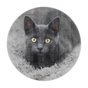 Planche À Découper Animaux de bébés cutest Chat gris