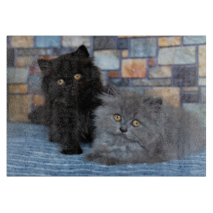 Planche À Découper Animaux de bébés cutest Chatons persans sur couv