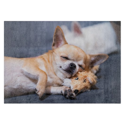 Planche À Découper Animaux de bébés cutest | Chihuahua Chig aux cheve (Devant)