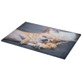 Planche À Découper Animaux de bébés cutest | Chihuahua Chig aux cheve (Coin)