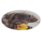 Planche À Découper Animaux de bébés cutest | Chocolat Labrador Puppy (Coin)