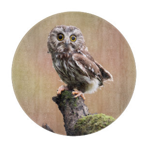 Planche À Découper Animaux de bébés cutest   Chouette blanche de la s