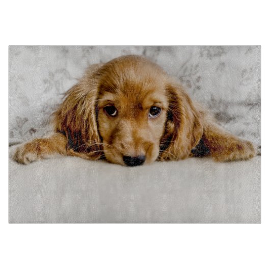 Planche À Découper Animaux de bébés cutest | Cocker Spaniel (Devant)