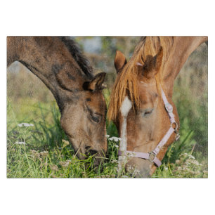 Planche À Découper Animaux de bébés cutest   Colt à cheval