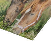 Planche À Découper Animaux de bébés cutest | Colt à cheval (Coin)