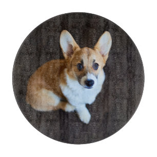 Planche À Découper Animaux de bébés cutest Corgi levant les yeux