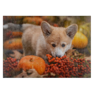 Planche À Découper Animaux de bébés cutest Corgi Puppy en automne