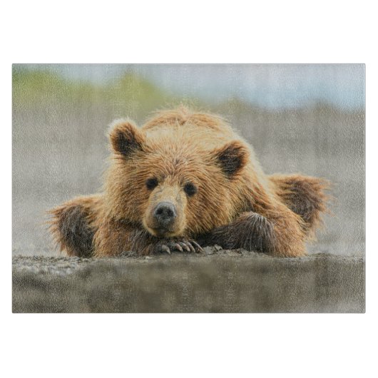 Planche À Découper Animaux de bébés cutest | Cub d'ours Brown côtier (Devant)