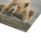 Planche À Découper Animaux de bébés cutest | Cub d'ours Brown côtier (Coin)