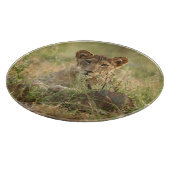 Planche À Découper Animaux de bébés cutest | Cute Baby Lion Cub (Coin)