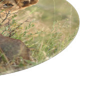 Planche À Découper Animaux de bébés cutest | Cute Baby Lion Cub (Coin)