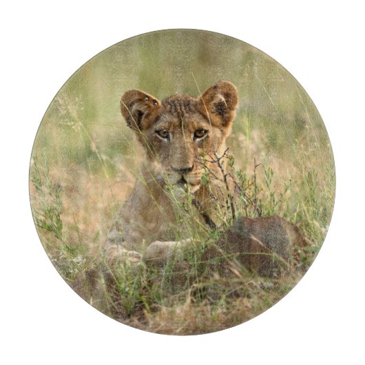 Planche À Découper Animaux de bébés cutest | Cute Baby Lion Cub (Devant)