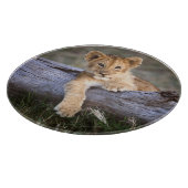 Planche À Découper Animaux de bébés cutest | Cute Lion Cub (Coin)