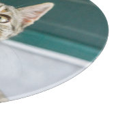 Planche À Découper Animaux de bébés cutest | Cute Tabby Kitten (Coin)