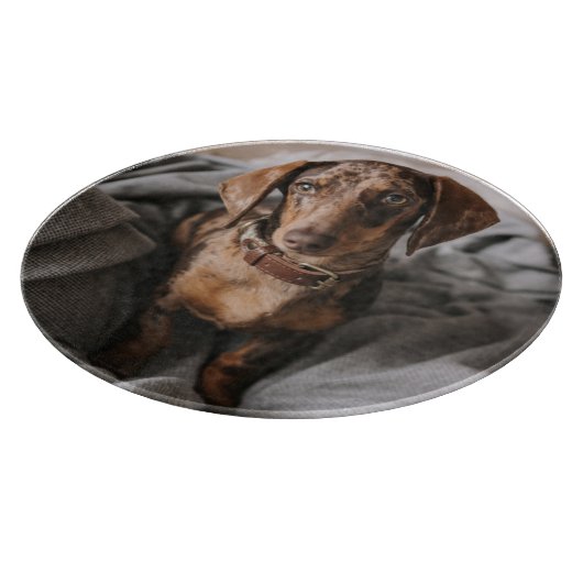 Planche À Découper Animaux de bébés cutest | Dachshund Dachshund Dach (Coin)