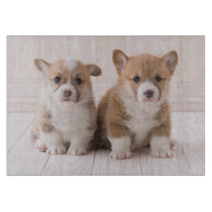 Planche À Découper Animaux de bébés cutest Deux Bébés Corgis assis
