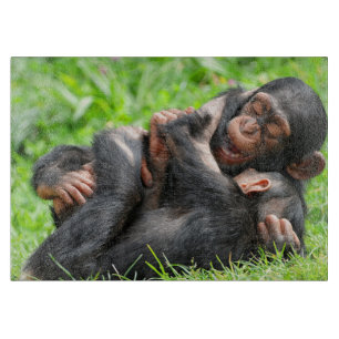 Planche À Découper Animaux de bébés cutest Deux jeunes chimpanzés